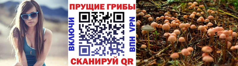 Галлюциногенные грибы Cubensis  Кирово-Чепецк 